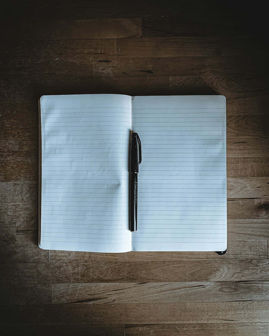 Blank Notebook and Pen